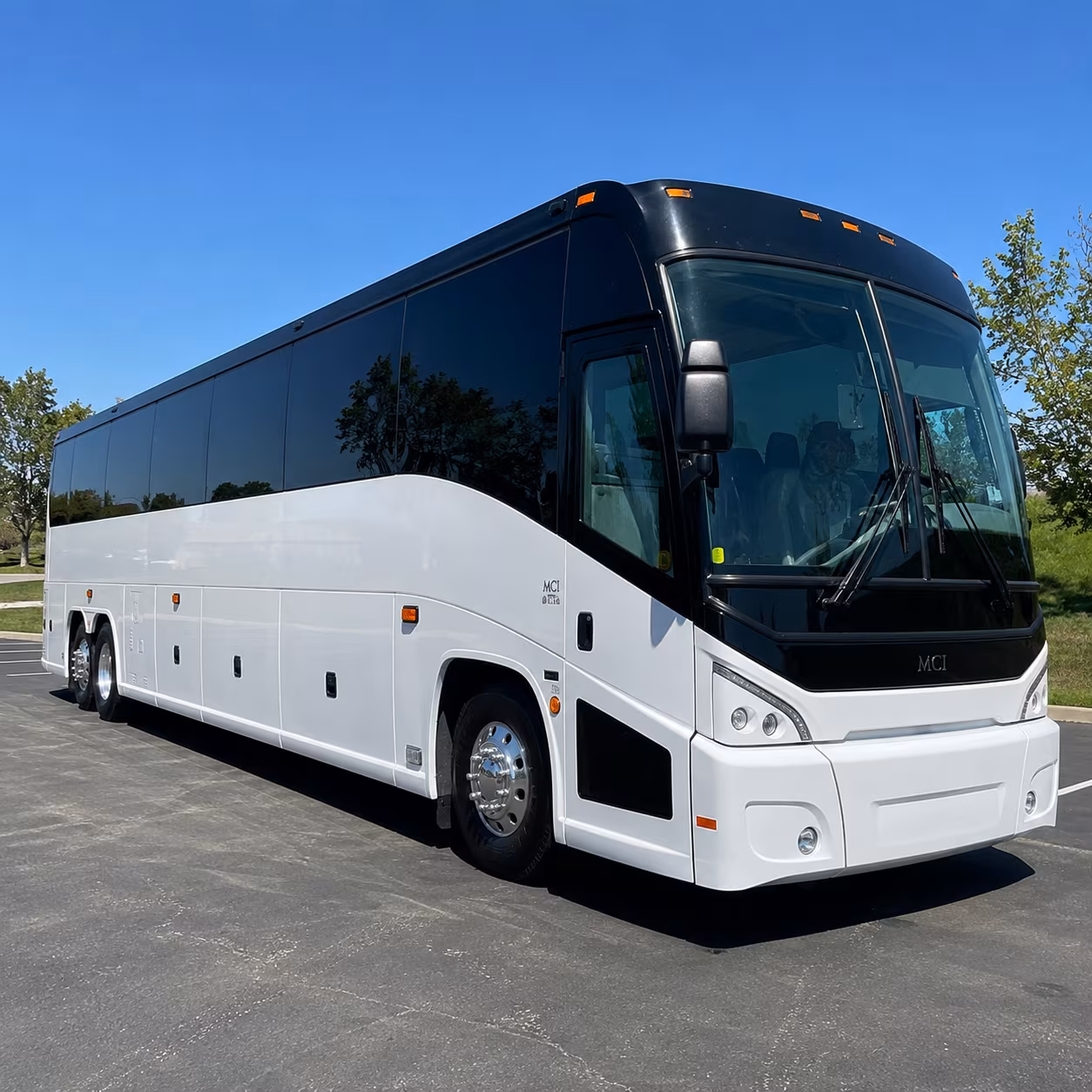 one search for your marana group trip
