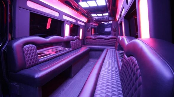 marana sprinter limo rental rental
